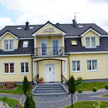 Antoja Проживание в семье